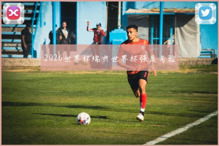 2026世界杯瑞典世界杯强度考验
