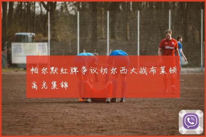 帕尔默红牌争议切尔西大战布莱顿高光集锦