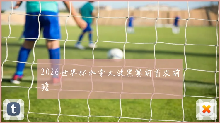 2026世界杯加拿大波黑赛前首发前瞻