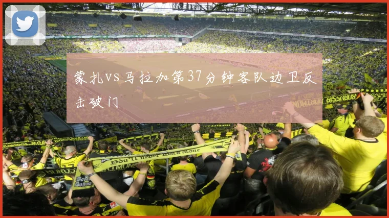 蒙扎vs马拉加第37分钟客队边卫反击破门