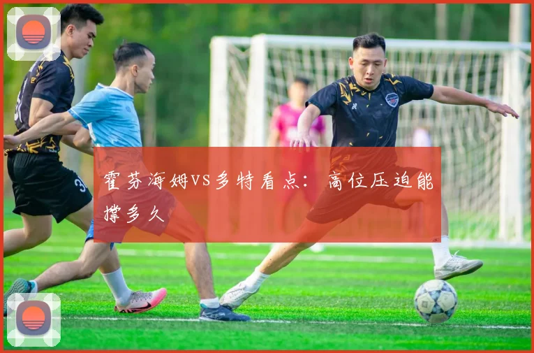 霍芬海姆vs多特看点：高位压迫能撑多久