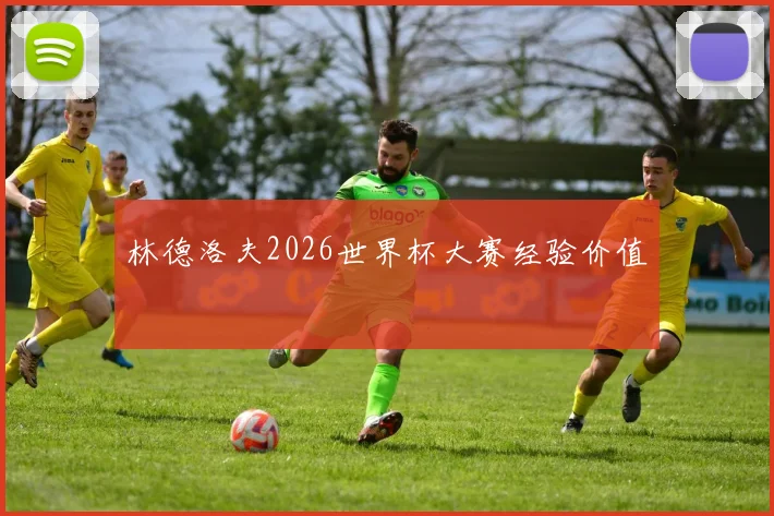 林德洛夫2026世界杯大赛经验价值