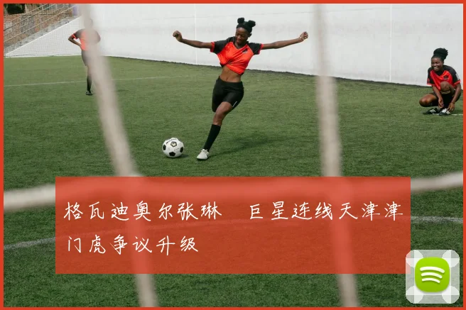 格瓦迪奥尔张琳芃巨星连线天津津门虎争议升级