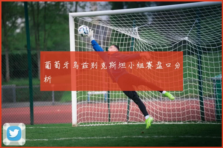 葡萄牙乌兹别克斯坦小组赛盘口分析