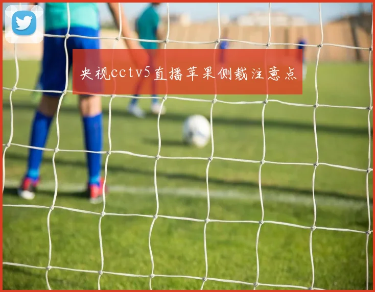 央视cctv5直播苹果侧载注意点