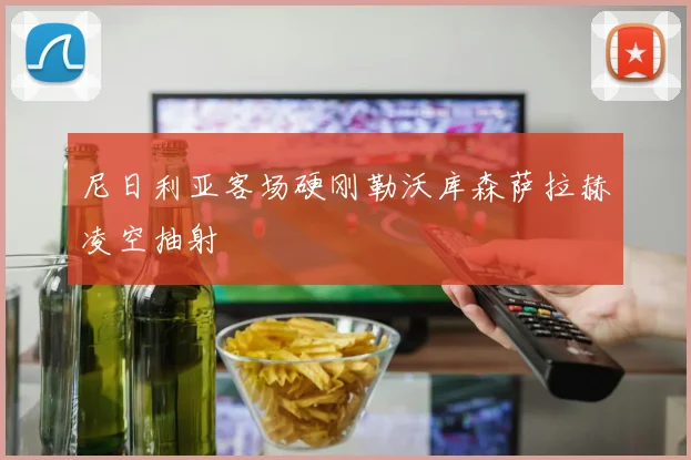尼日利亚客场硬刚勒沃库森萨拉赫凌空抽射