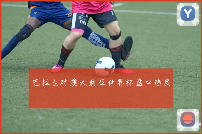 巴拉圭对澳大利亚世界杯盘口热度