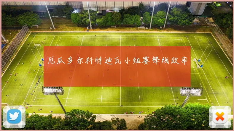 厄瓜多尔科特迪瓦小组赛锋线效率